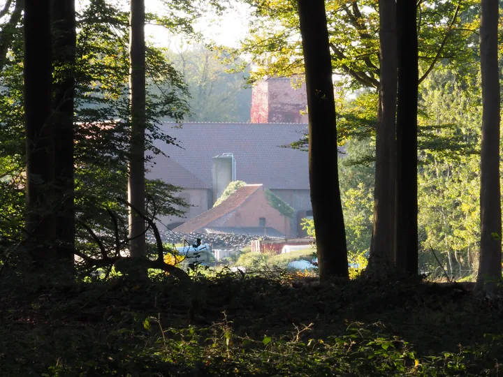 Vagevuurbos an Lippensgoed-Bulskampveld (Belgium)